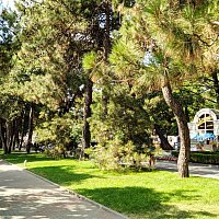 Геленджик Пляж сан. им. Ломоносова 2022